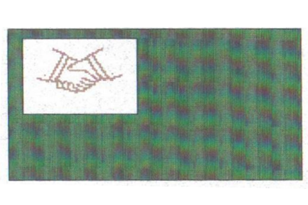 Bandera Institucional